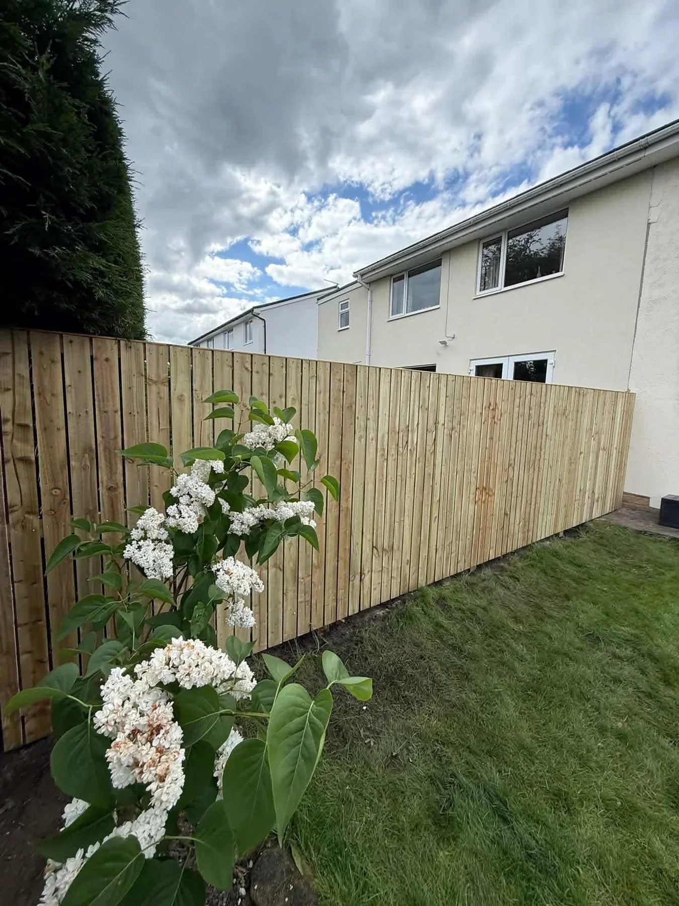 Garden after new boundary fencing and landscaping