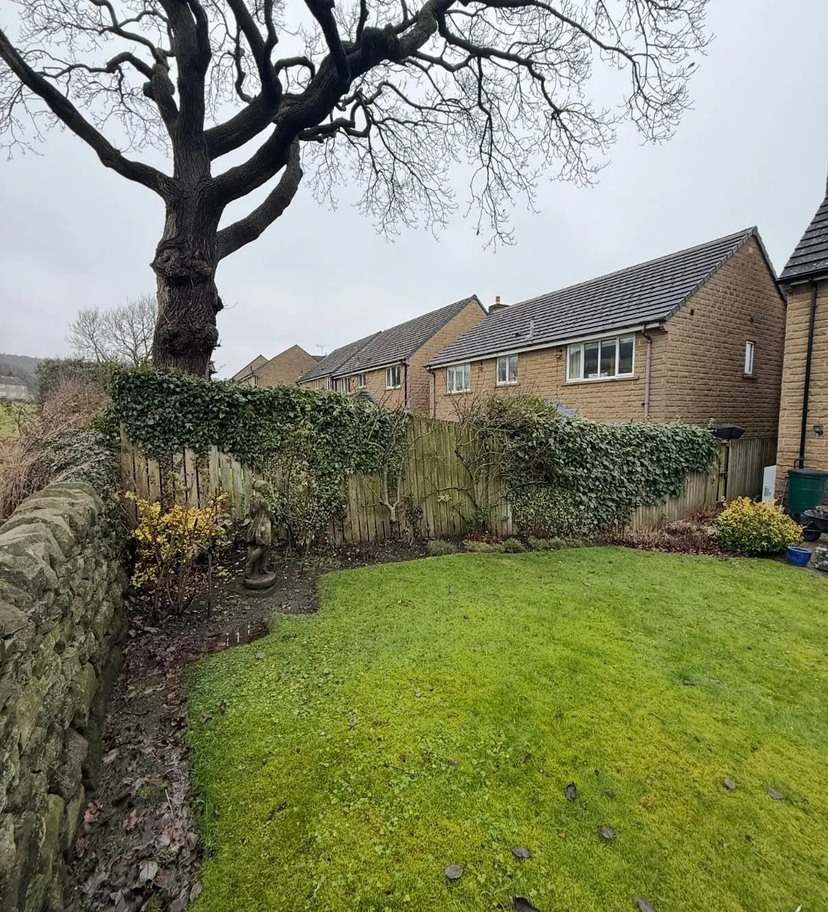 Garden before new boundary fencing